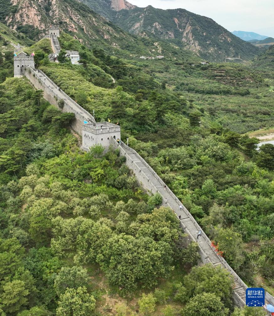 金沙网络平台网站