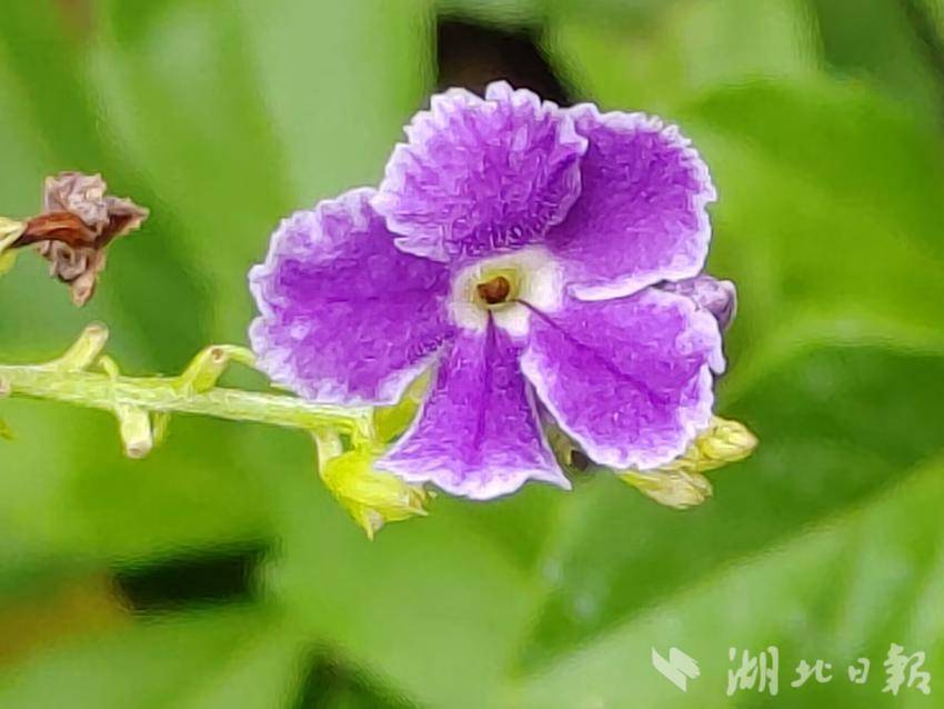 注册送一万分的打鱼赢钱游戏